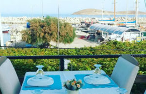 Palamutbükü Dolphin Restaurant